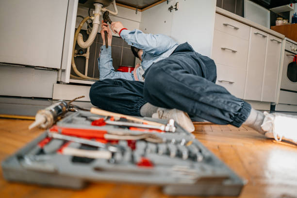 Best Garbage Disposal Repair and Installation  in Mead, WA